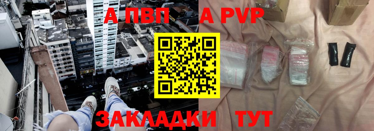 Alfa_PVP СК Великий Новгород
