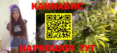 индика Анжеро-Судженск