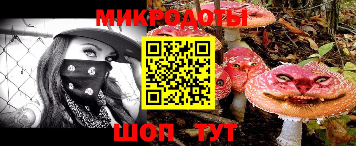 Галлюциногенные грибы мухоморы Великий Новгород